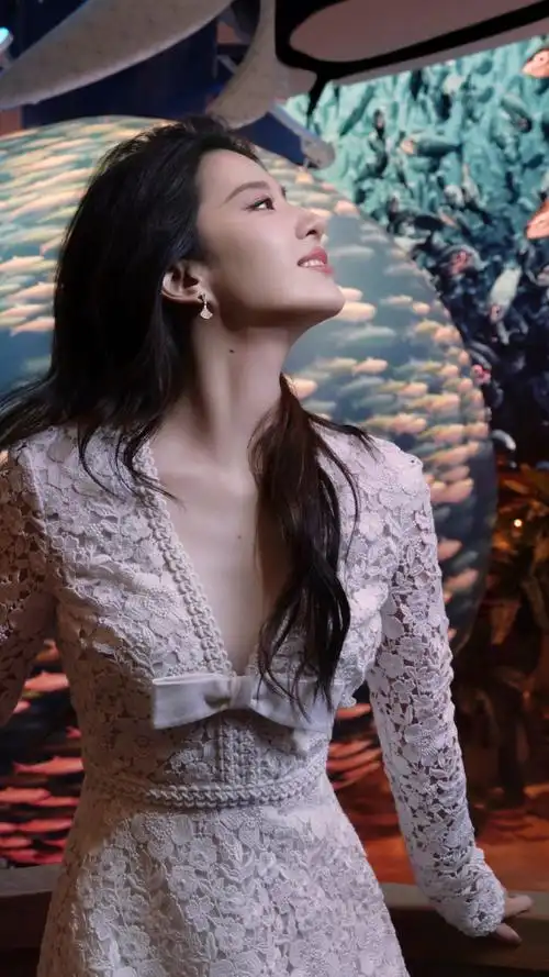 刘亦菲##刘亦菲阿布扎比体验代言人