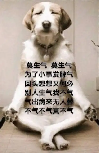 这是什么东西?(捡肥皂) - 妹子,我喜欢你,五百元一次!_动图_装逼_搞笑