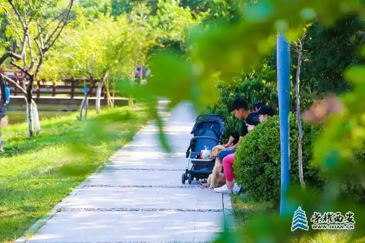 更加绿色萌动,花香萦绕