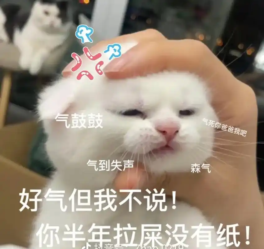 3江气鼓鼓气死你爸爸我吧气到失声森气好气但我不说!