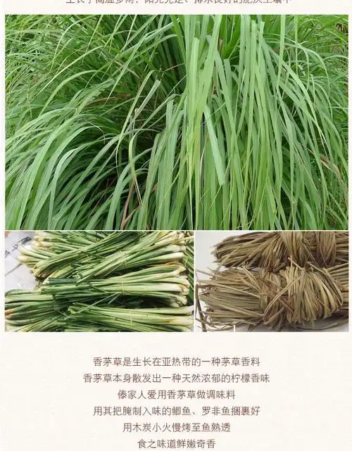 爱蜀味调味品 爱蜀味 香茅草 干柠檬草香毛草柠檬
