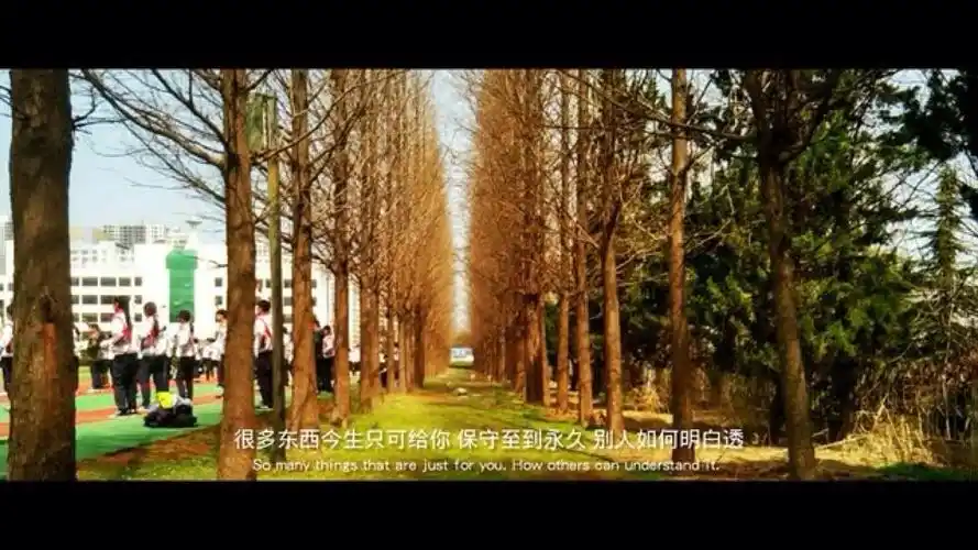 文艺 小清新 足记 横图 壁纸 短句 美图