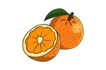 桔子简笔画