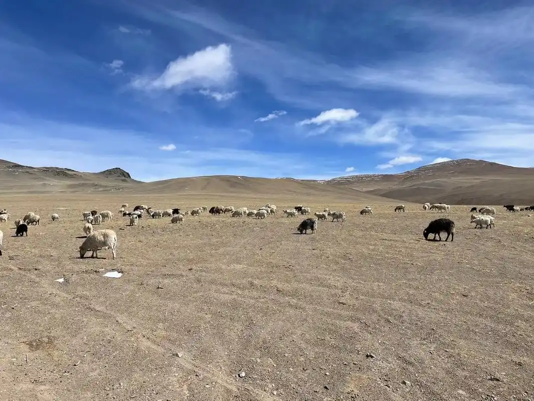 穿越羌塘无人区.本人于3.27日从西藏改则县出发,历经3天到 - 抖音