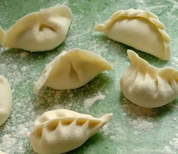 各种各样的饺子