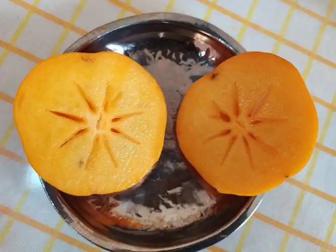 我们一起切开看一看