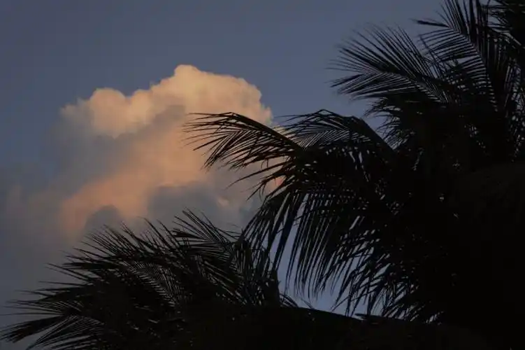 全民k歌歌曲背景图red希希侵删