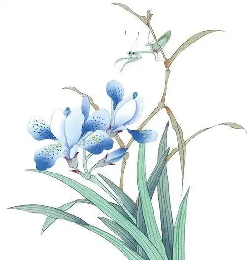 国画工笔紫藤花画法 - 搜狗图片搜索