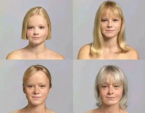 瑞凤眼与丹凤眼的区别图片