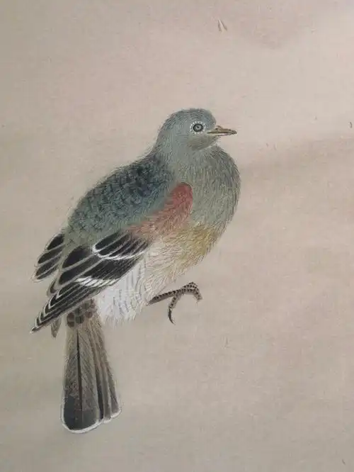 工笔画小鸟