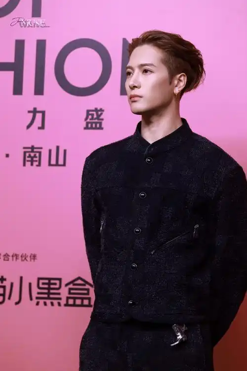 王嘉尔棕发大背头##王嘉尔lv品牌代言人