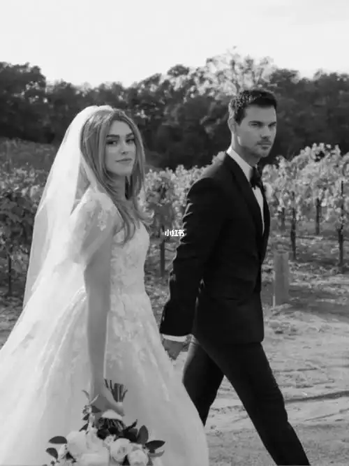 婚礼分享暮光之城taylorlautner的日落婚礼