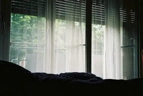 生命总是很脆弱 唯美窗户图片