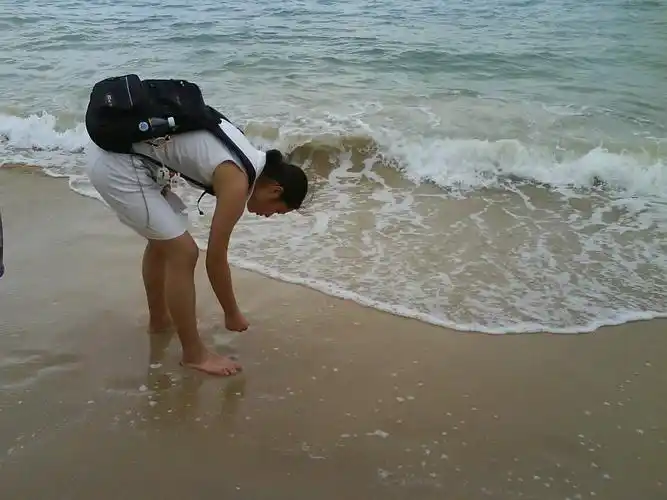 求一张女孩子在海边拾贝壳的大图片或者地址,非常急