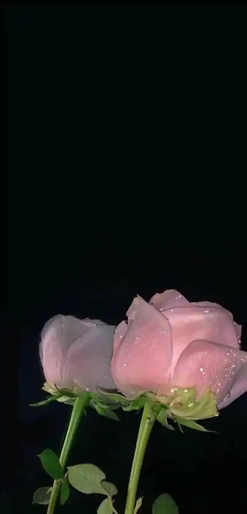 一眼万年的暗色系壁纸