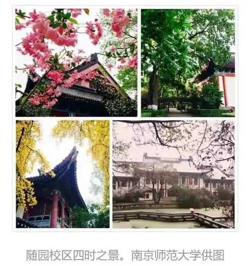 阳春三月,草木萌发,从南师大随园校区大门南行,至宁海路与广州路相交