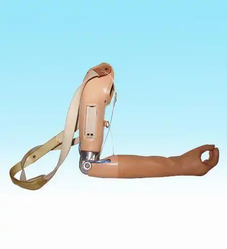 利用人体的肌电信号进行控制的上肢假肢.