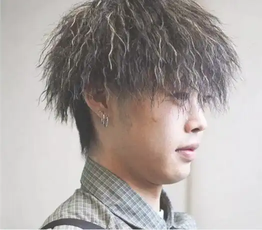 潮男都喜欢的锡纸烫发发型 爆炸式锡纸烫发型帅翻天了(2)_烫发_西子美