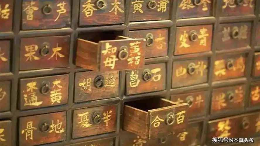 中药的智慧斗谱的学问