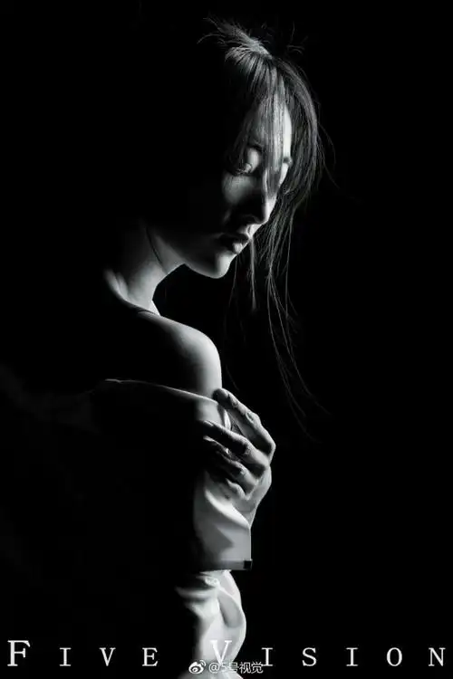 fivevision美女写真黑白片