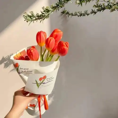 朋友圈配图封面配图主页配图