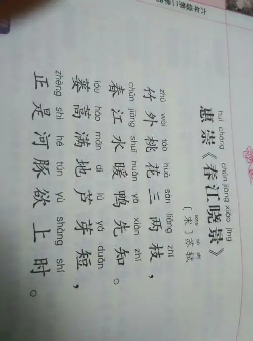 苏轼写的诗是惠崇春江晚景还是惠崇春江晓景?