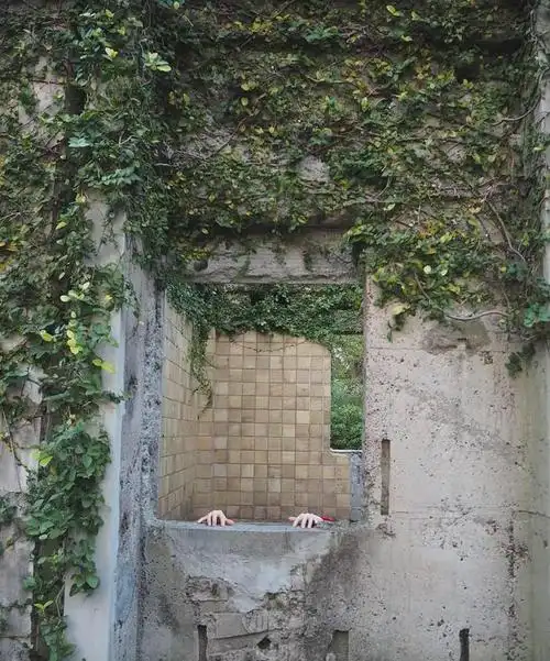 日本护士最美死亡写真350张尸体照获赞30w