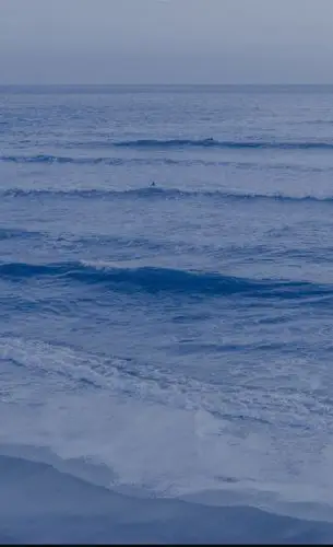 蓝色微信头像 - 堆糖,美图壁纸兴趣社区