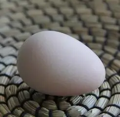 珍珠鸡蛋的作用