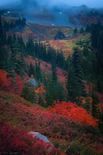 探寻大自然之美极富意境的山水作品