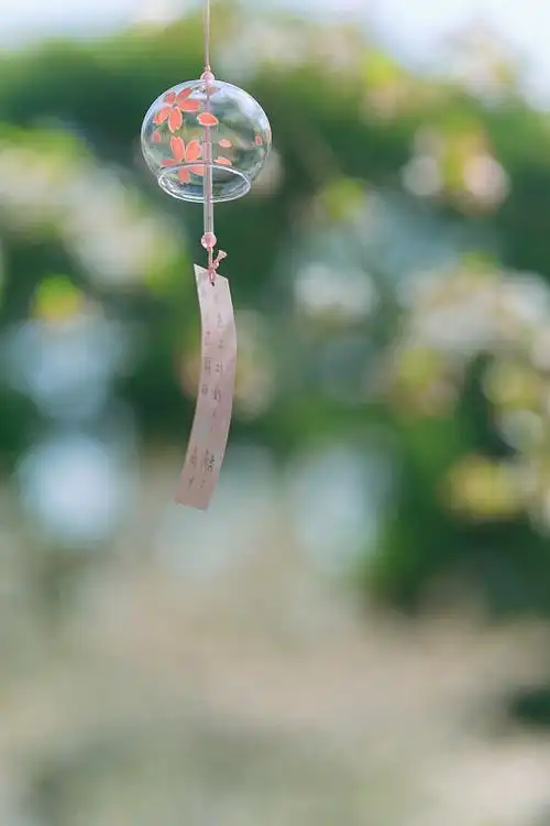 无锡鼋头猪樱花风铃