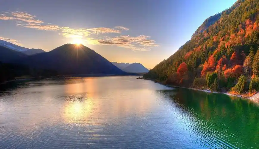 2024年福气多多,鸿运围绕,事业宏图大展,发财梦想能成真的生肖_属鸡