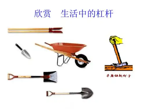 八年级物理杠杆的平衡条件