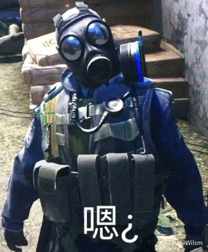 你存的有哪些让你笑尿的csgo表情包