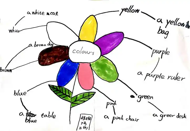 三年3班 ,三年4班 colours 思维导图作品集