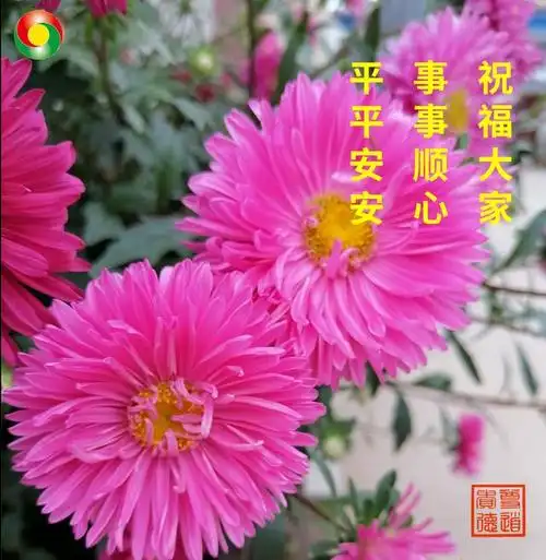春节被刷屏,为啥爸妈会热爱"中老年表情包"?