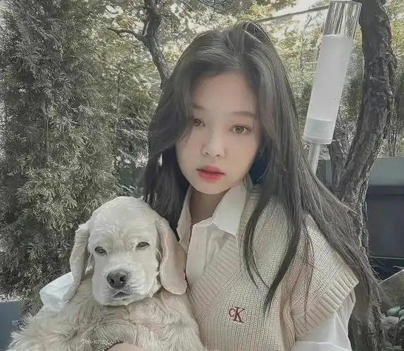 blackpink头像第一弹blink看过来赞破50更