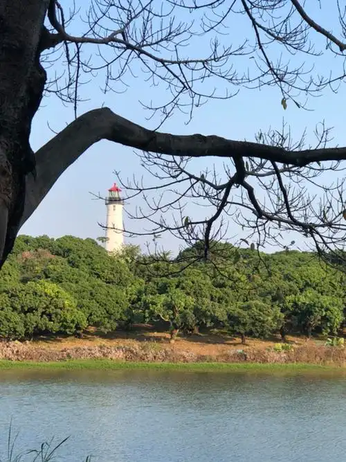 松山湖风景区松湖烟雨