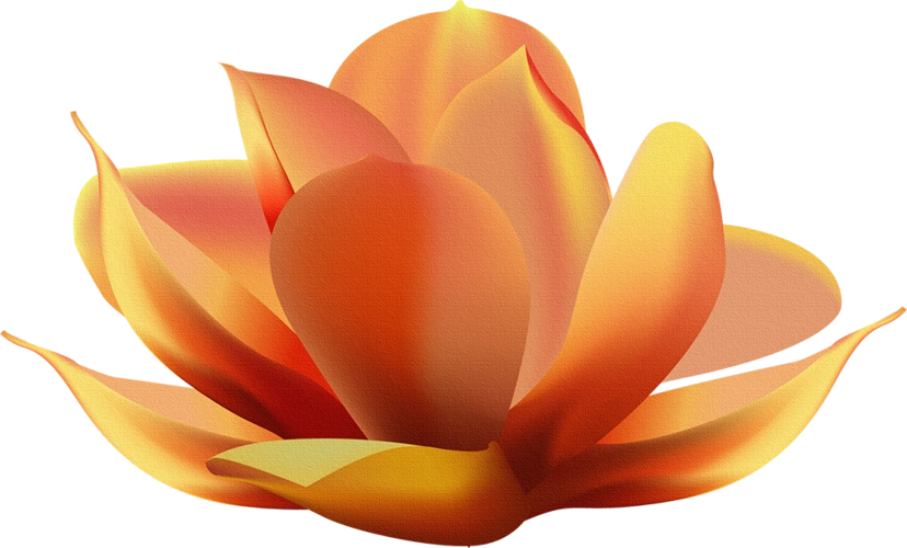 莲花 手绘图片大全_莲花 手绘图片素材【png免费下载】-90设计网