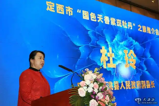 临洮县副县长杜玲作推介. 贾笑云 摄