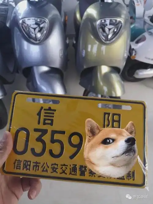 关于信阳市电动车免费上牌你我都是要被薅毛的羊