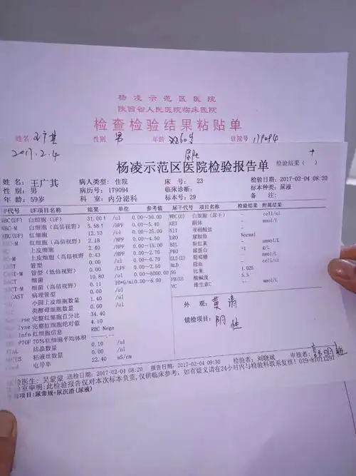 手按下去不反弹,就去医院做了检查,具体检查结果在图_泌尿内科_邻医网