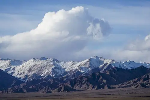 新疆阿尔金山保护区生态恢复趋好_自然保护区