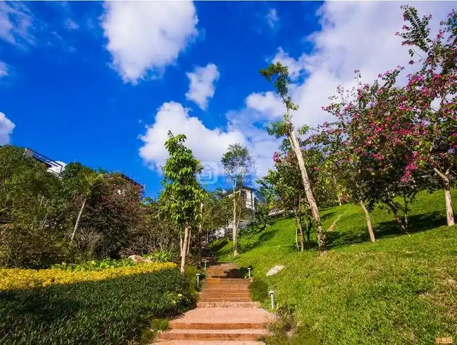 三亚万科森林度假公园