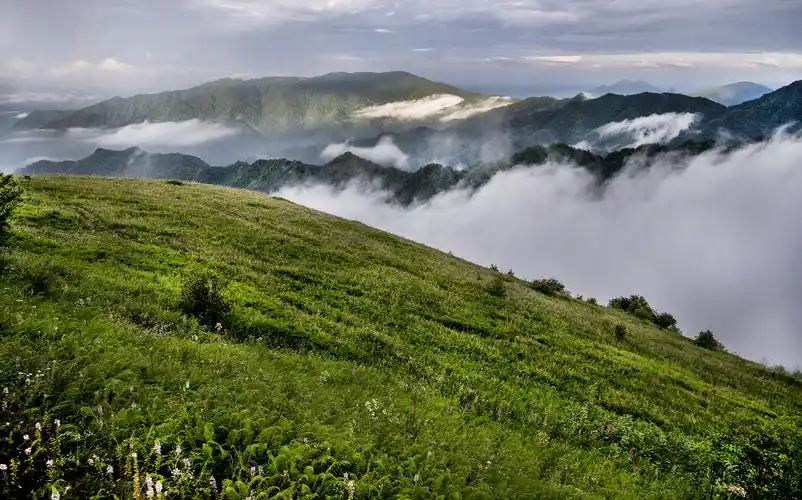 正阳草甸在青山幽谷间享受清凉世界