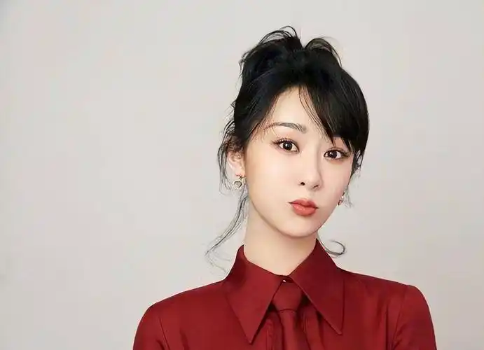 "星途坎坷"杨紫:因演技好遭那英"记恨",曾被指介入杨子婚姻_李斯丹妮