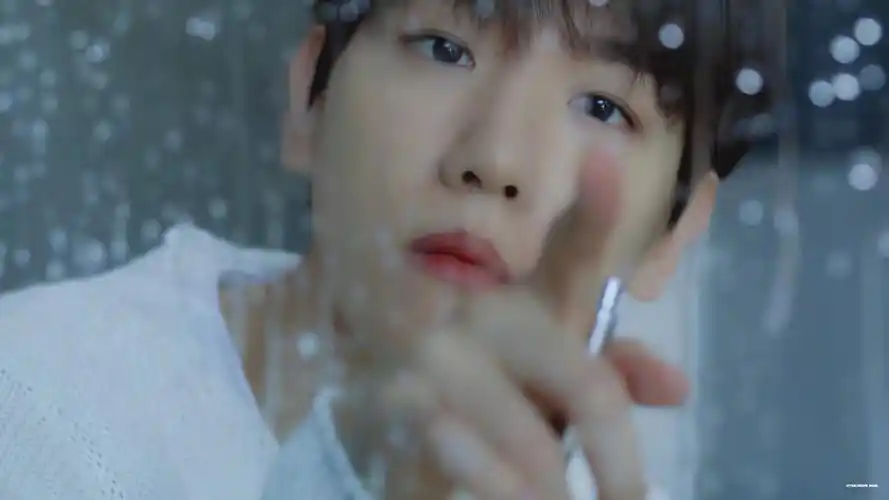 边伯贤(明星静态壁纸) - 静态壁纸下载 - 元气壁纸