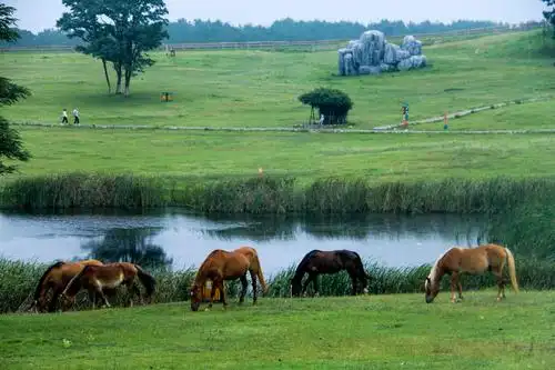 武汉木兰草原:华中地区唯一的5a草原风景区,6种玩法让人受不了