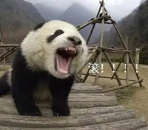 滚啊-熊猫-.jpg的表情包--逗比拯救世界