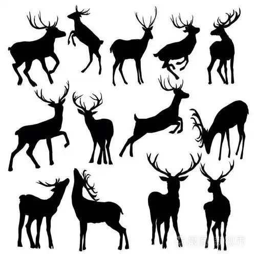 黑鹿剪影一套